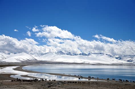 【西藏-纳木错湖印记摄影图片】纳木错湖风光摄影_DAY DAY UP_太平洋电脑网摄影部落