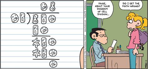 Cell Division Cartoon