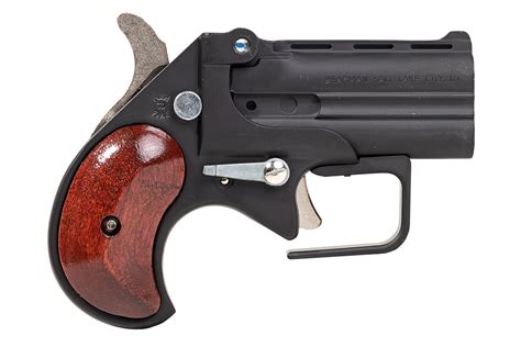 Cobra Enterprise Inc 9mm Big Bore Derringer Guardian Package with ...