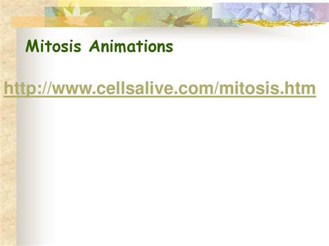 Focus 7 Feb 20, 21 What is the cell cycle and what happens? (full page) 2. What happens during ...