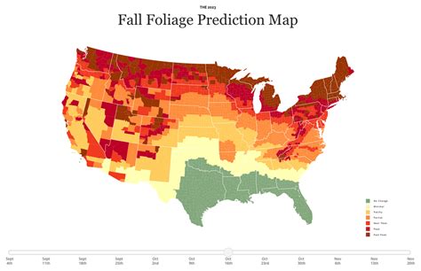 Here's When Fall Foliage Will Hit Its Peak in New York City for 2023 ...