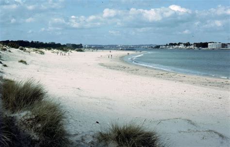 Studland - Shell Bay - Dorset | UK Beach Guide