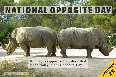 National Opposite Day - Jokes, Captions, Quotes, and FAQs | Jokes, Opposites, 25th quotes