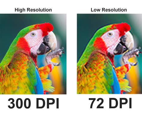 What DPI Should I Use For Printing? | Image Resolution Guide