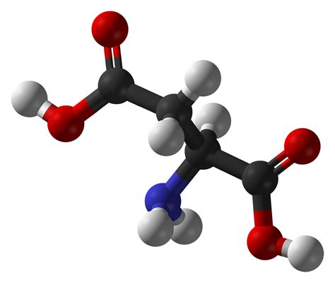 D-Aspartic Acid and Testosterone | Benefits - Side Effects