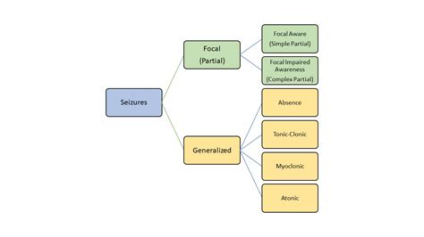 All of the Following Are Types of Epilepsy Except