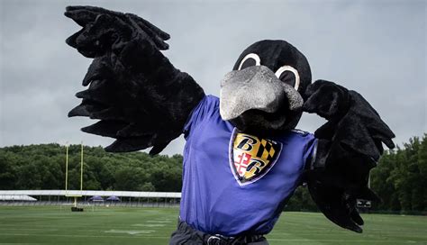 What It’s Like Being Poe of the Baltimore Ravens - Baltimore Magazine