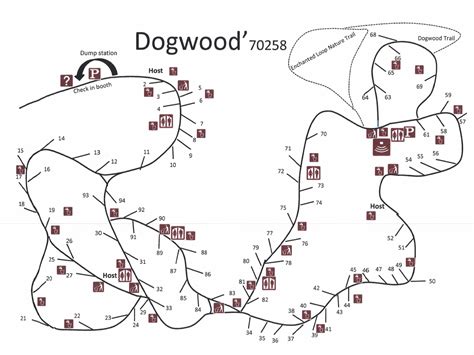 Dogwood - Campsite Photos, Camping Info & Reservations