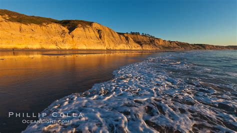 Torrey Pines State Beach, Torrey Pines State Reserve, San Diego, California