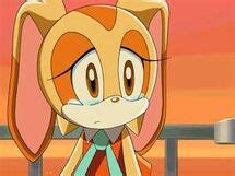 Cream the Rabbit | Sonic X Wiki | FANDOM powered by Wikia