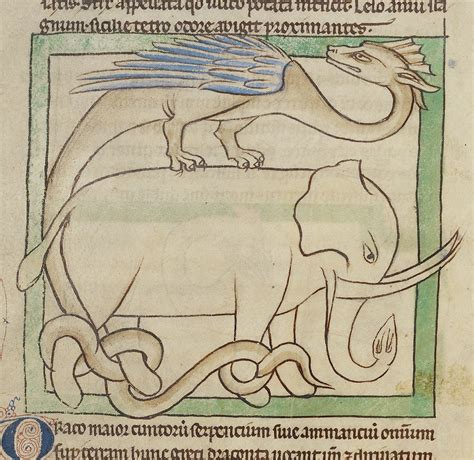 Medieval Dragons Pictures