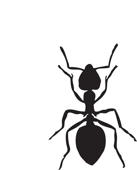 Ant svg, Download Ant svg for free 2019