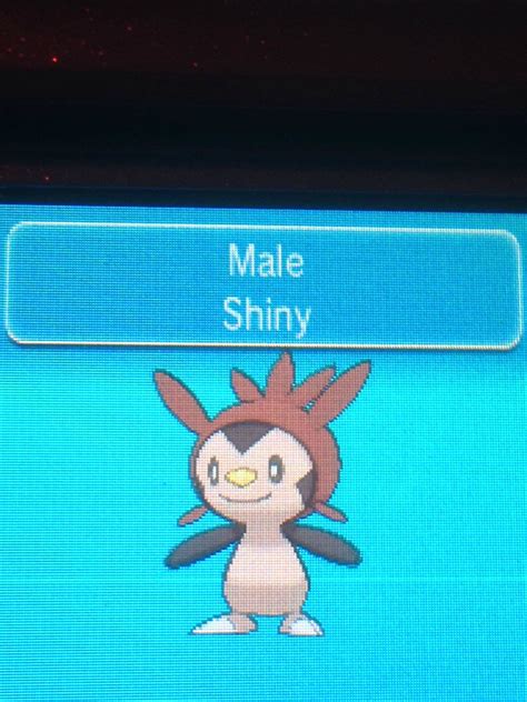 Shiny Chespin : ShinyPokemon