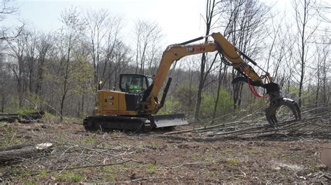 Forestry Mulching - Weber Property Services