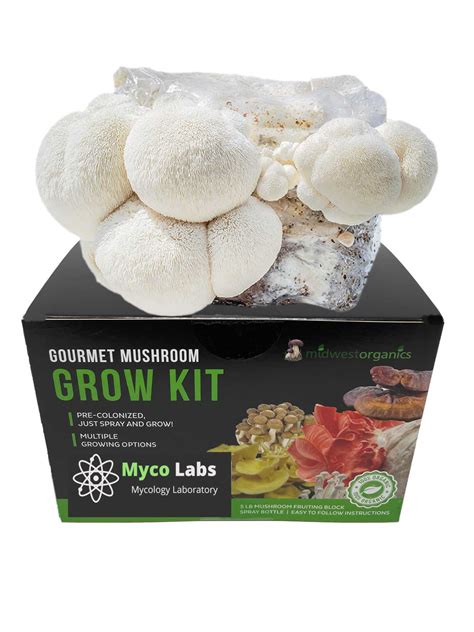 Lion's Mane Mushroom Grow Kit (5lbs)