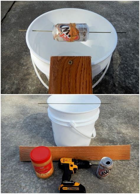 Homemade Mouse Trap (15 DIY Rat Traps that Really Work)