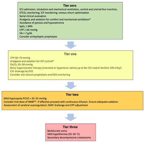 JCM | Free Full-Text | Second- and Third-Tier Therapies for Severe Traumatic Brain Injury