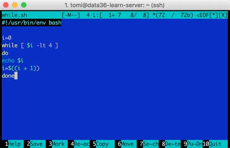 Variables, if statements and while loops in bash (Data Coding 101)