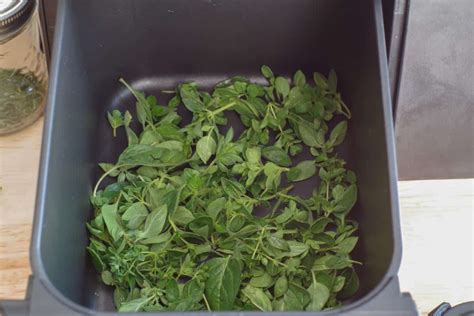 How To Dehydrate Herbs In Ninja Air Fryer - Recipes.net