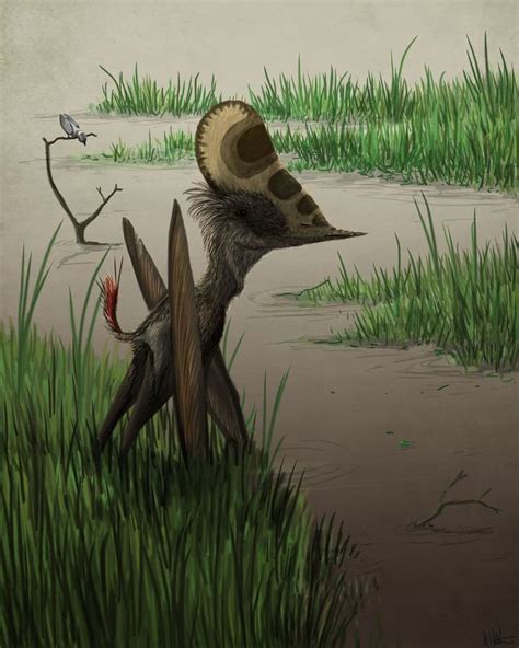 The pterosaur formally known as 'Phobetor'. By Mark Witton. #Paleoart #Pterosaurs | Prehistoric ...