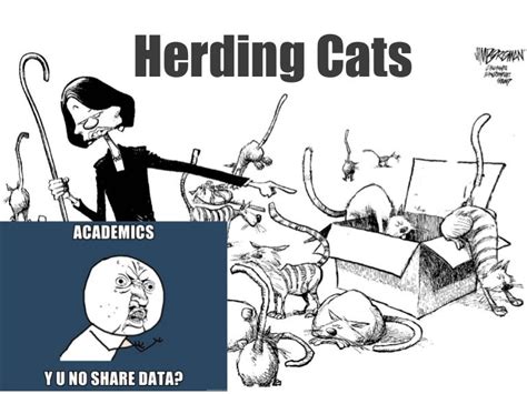 Herding Cats