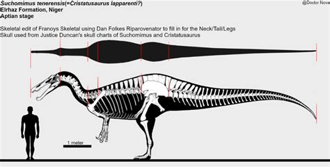 Pin by Julian Wegener on Theropoda | Prehistoric animals, Hulk art ...