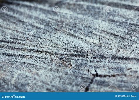 Macro of Rime Crystals on Wood Stock Image - Image of wood, crystallized: 48182045