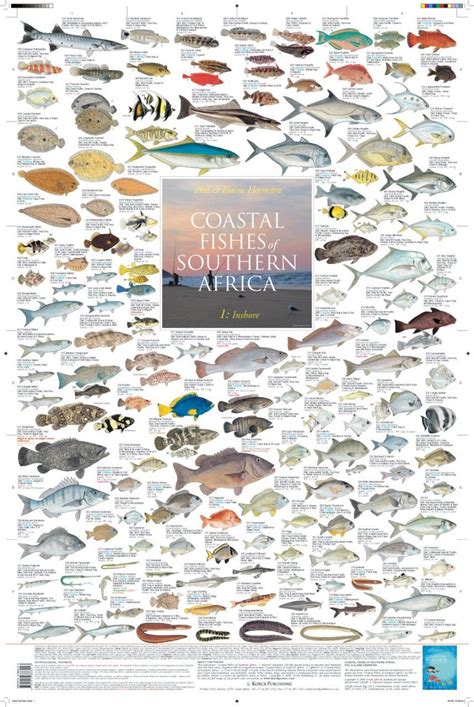 Coastal Fishes of Southern Africa, 1: Inshore - Poster | Inshore ...