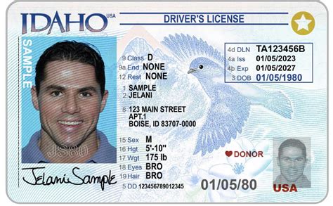 Idaho Releases New Driver's License Design - IDScanner.com