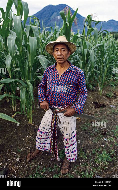 Mayan corn farmer wearing traditional hand woven clothing San Pedro ...