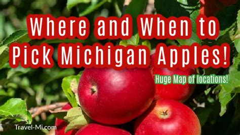 BEST Michigan Apple Orchards, Apple Picking, U Pick | Visit This Year