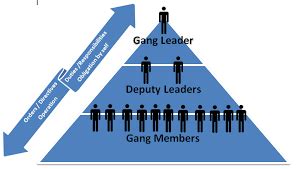 Leadership hierarchy of gangs 2022 Best - Expert Writers