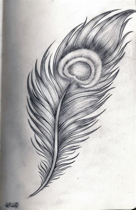 Pin by Leha Velasquez on Tattoos | Feather sketch, Feather drawing, Peacock feather drawing