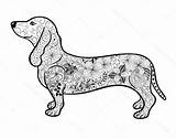 Dachshund Coloring Pages  Free Printable Coloring For Kids sketch template
