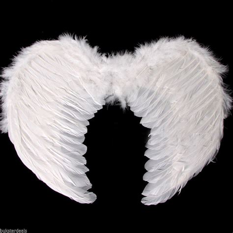 Free photo: White Angel Wings - Angel, Feathers, White - Free Download - Jooinn