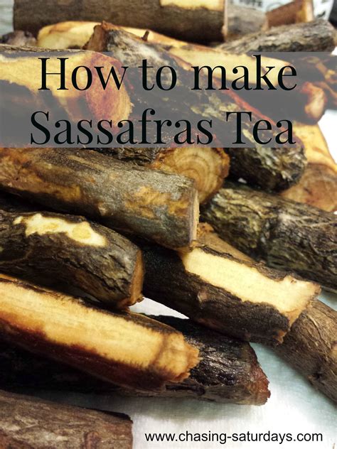 Sassafras Tea | Herbal teas recipes, Sassafras tea, Foraging recipes