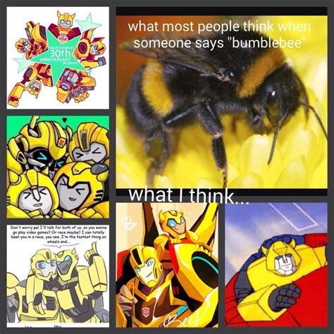 When someone says 'bumblebee' | Transformers funny, Transformers, Transformers prime