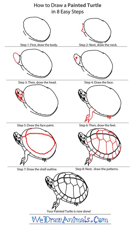 How to Draw a Painted Turtle