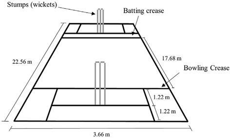 What Is The Length Of A Junior Cricket Pitch