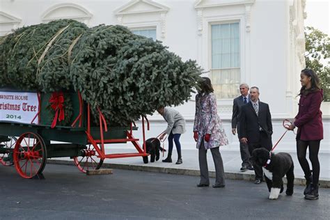 Photos: White House Christmas Trees, Through the Years | Civic | US News