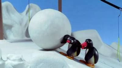 Pingu - Pingu and the Snowball - TheTVDB.com