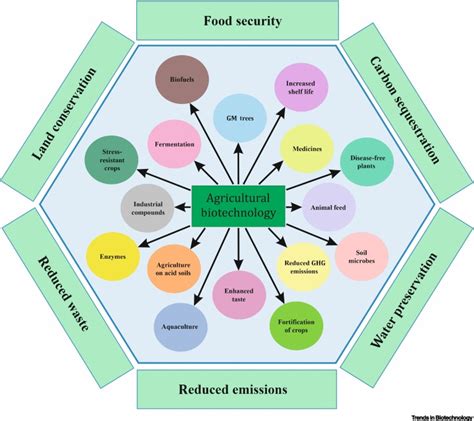 Agricultural biotechnology for sustainable food security: Trends in Biotechnology