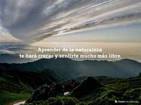 Total 82+ imagen frases fotografia naturaleza - Abzlocal.mx