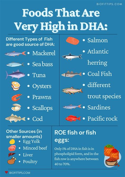 What Foods Have DHA | How Much Of It During Pregnancy? - BioFitTips