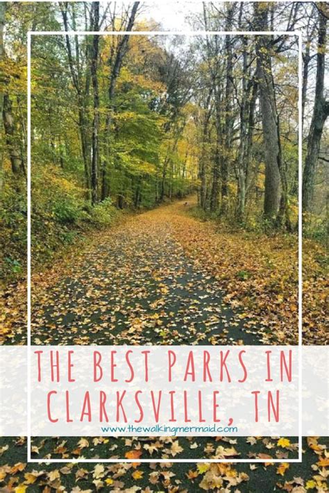 clarksville tn parks | Hiking destinations, Clarksville, Places to visit