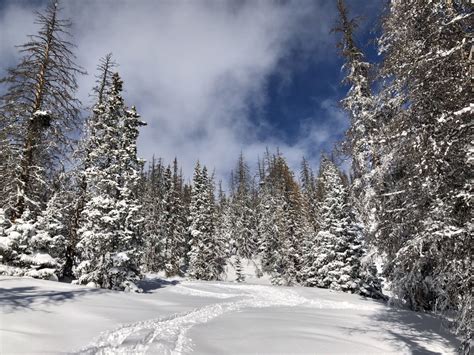 Monarch Mountain, CO Report: Knee Deep Powder at a Real Ski Resort... - SnowBrains