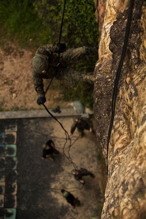 DVIDS - Images - ‘Retreat, Hell!’ Marines complete Okinawa jungle ...