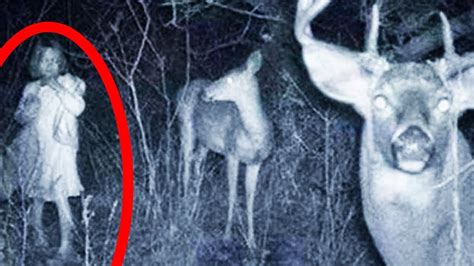 10 SCARY THINGS CAUGHT ON CAMERA IN THE WOODS! - YouTube