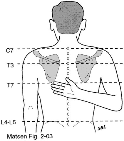 My Left Shoulder