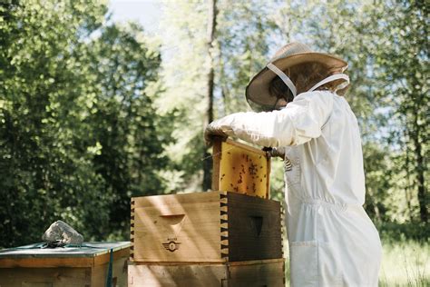 L'histoire derrière nos ruches | Savonnerie des Diligences